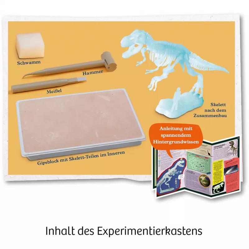 Kosmos T-REX, rozszerzona rzeczywistość, 7 lat, zielony Kosmos T-REX. Typ: rozszerzona rzeczywistość, Zalecany wiek (min.): 7 lat, Kolor produktu: zielony