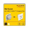 DeLOCK 11499 Gniazdo Typ F z USB A i USB C Białe