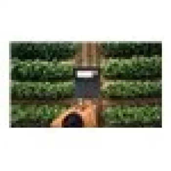Laptop Microsoft Surface Laptop 7 13,8 cala Intel Core Ultra 7 32GB 512GB Intel Arc Graphics Windows 11 Pro