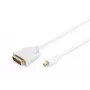 Kabel DisplayPort 1.1a mini DP-DVI typ A MM 2,0m