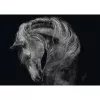 Puzzle schmidt spiele Ashley Rader Power Horse — 1000 elementów, MPN 58543
