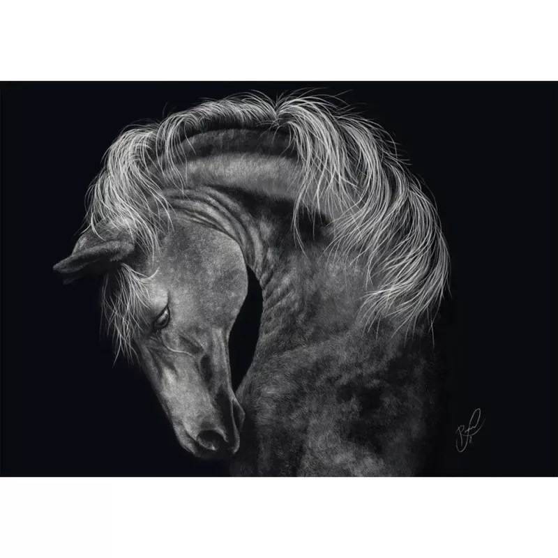 Puzzle schmidt spiele Ashley Rader Power Horse — 1000 elementów, MPN 58543