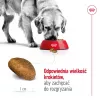 Sucha karma dla psa Royal Canin Maxi Adult 15 kg — Kurczak, 26% Białka, 17% Tłuszczu, Wsparcie Trawienia