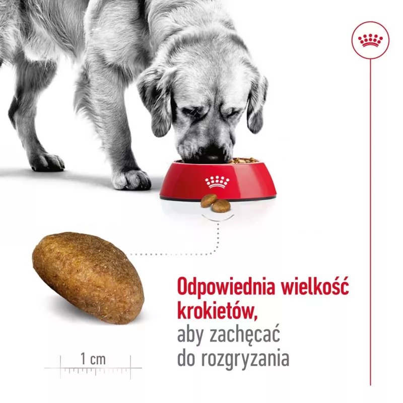 Sucha karma dla psa Royal Canin Maxi Adult 15 kg — Kurczak, 26% Białka, 17% Tłuszczu, Wsparcie Trawienia