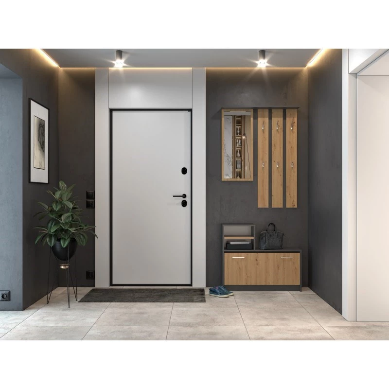 Szafka w przedpokoju top e shop GAR ANT/ART z 1 drzwiami uchylnymi, 850×240×1600 mm