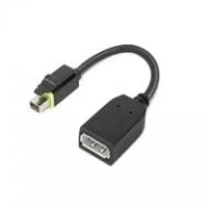 Lenovo 4X90Q93975 adapter kabla wideo Mini DisplayPort DisplayPort Czarny