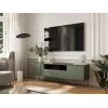 Cama EF TRESSE szafka RTV 180x40x54.5 matowy zielony
