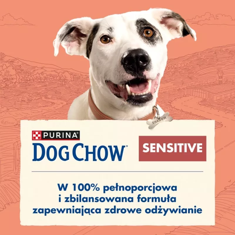 PURINA Dog Chow Sensitive Salmon - sucha karma dla psa - 14 + 2,5kg