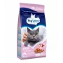 Sucha karma dla kota PREVITAL Senior Salmon 1,4 kg — formuła dla seniorów, 31% białka, 9% tłuszczu