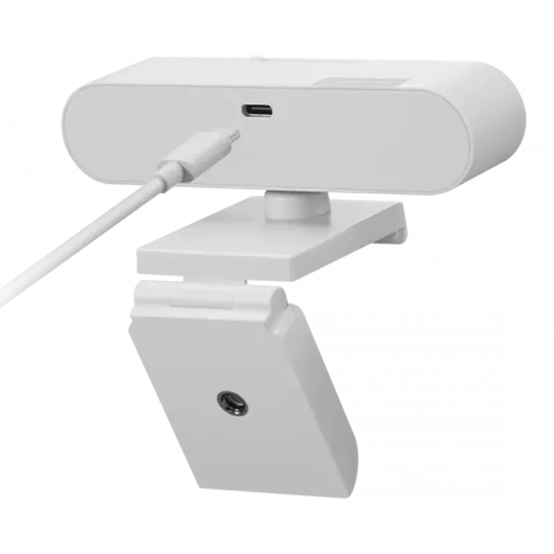 Kamera internetowa Lenovo GXC1D66063 2.8 MP 1920 x 1080 pikseli USB-C Szary