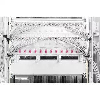 Panel zaślepiający Digitus DN-19 BPN-02