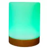 Lampa nastrojowa RealPower 200 RGB z pilotem