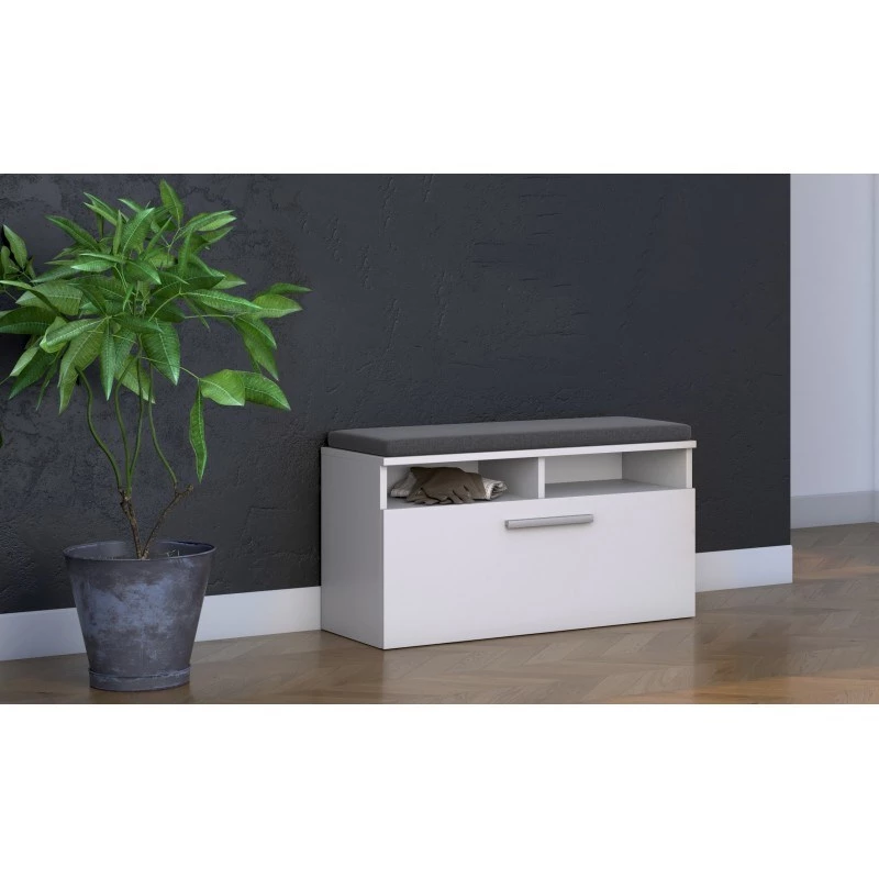 Shoe organizer cabinet top e shop RIVA SZAFKA BIEL — zamknięta, biały, płyta wiórowa, 850×460 mm
