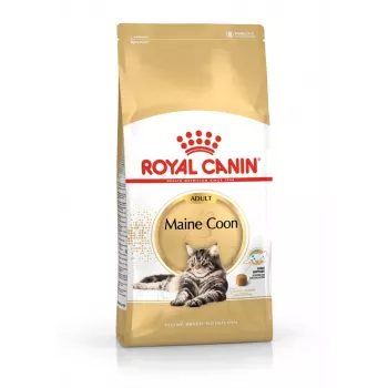 Sucha karma dla kota Royal Canin Maine Coon Adult 4 kg — kurczak, 31% białka, 20% tłuszczu