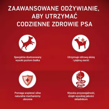 PURINA ONE MINI Dog Adult Beef & Rice 1,5kg