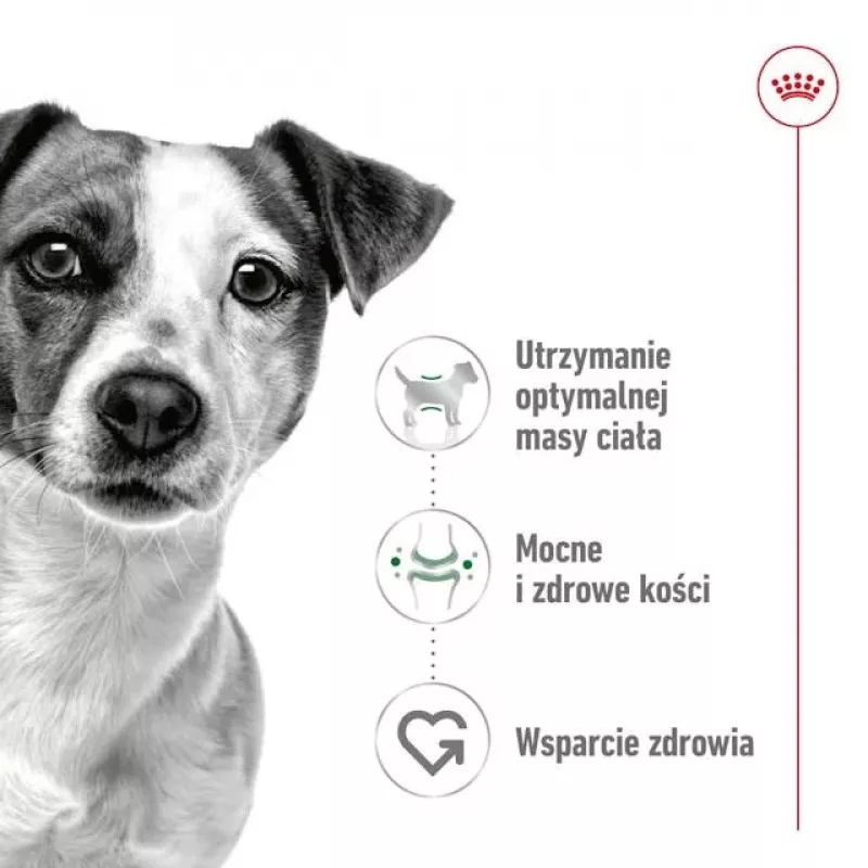 ROYAL CANIN Adult Mini S - sucha karma dla psów - 4kg