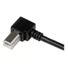StarTech.com 2m USB 2.0 A na kątowy kabel B - M/M