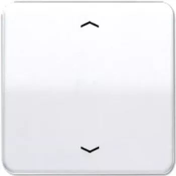 Jung CD 590 P WW (CD590PWW)