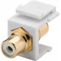 Goobay 79676 - Płaski - Biały - RCA - RCA - Żeński - Żeński (79676)