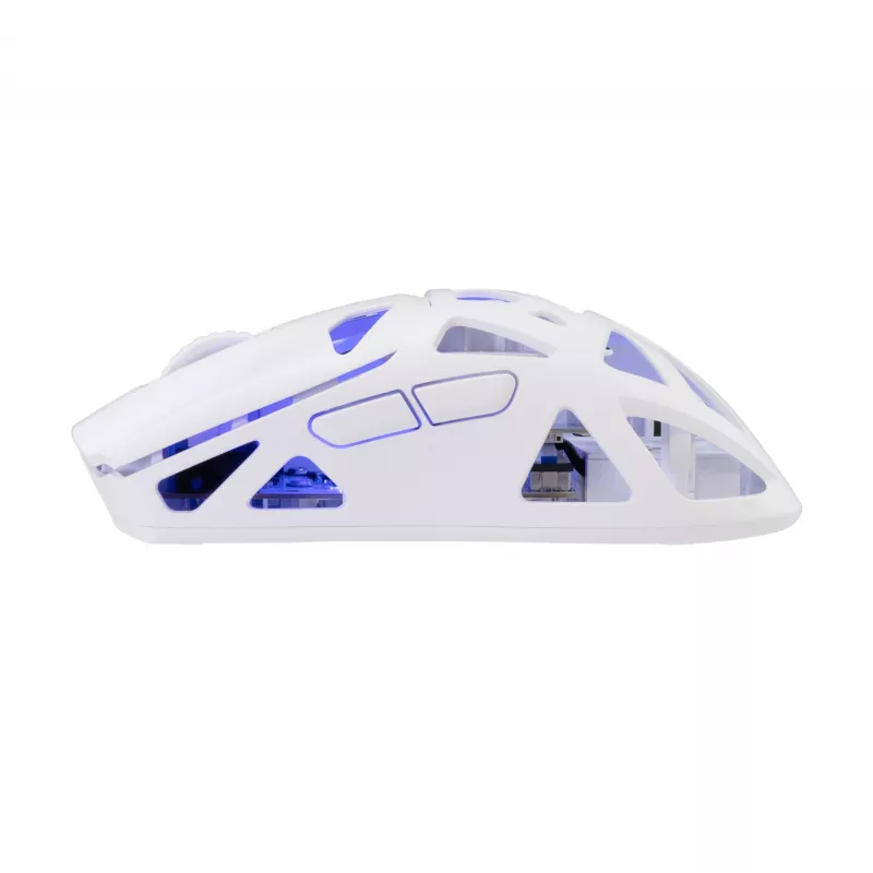 Mysz White Shark GM-5019 Dagonet Wireless
