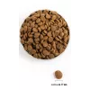 ACANA Adult Large Breed - sucha karma dla psów - 11,4kg
