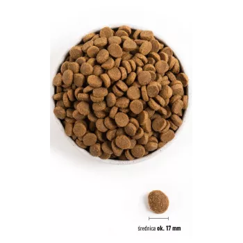 ACANA Adult Large Breed - sucha karma dla psów - 11,4kg