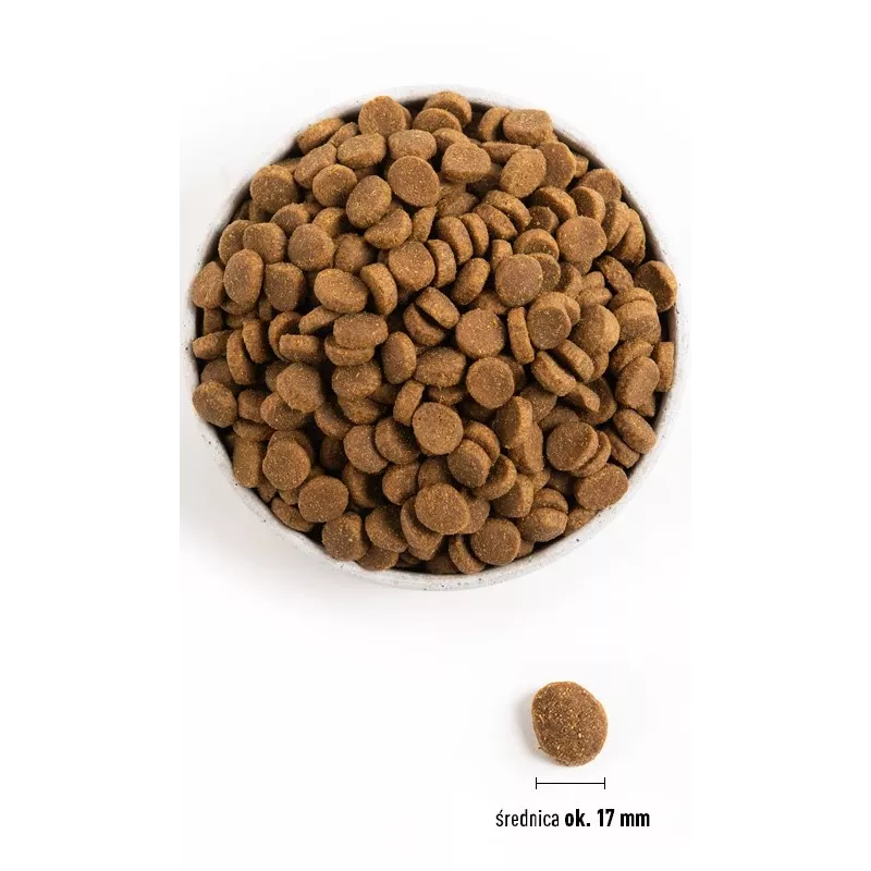 ACANA Adult Large Breed - sucha karma dla psów - 11,4kg