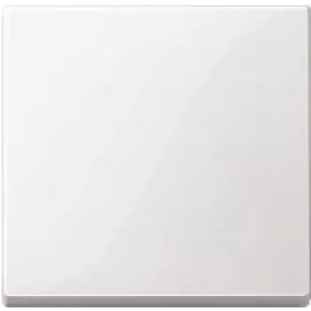 Pokrywa ścienna / osłona włącznika Merten 432125, biała, termoplastyczna
