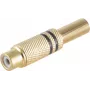 Złącze RCA ShiverPeaks BS52021-S Gold żeńskie