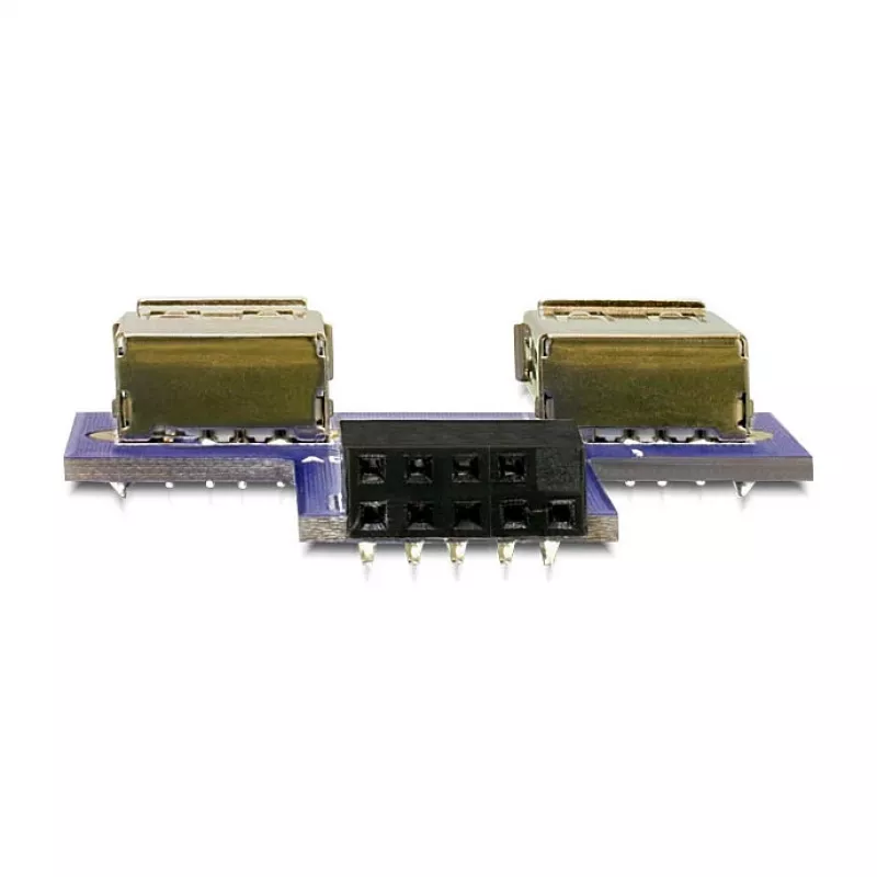 DeLOCK 9-pin 2.54 mm 2 x USB 2.0 1 x 9-pin 2.54 mm Czarny Niebieski Srebrny
