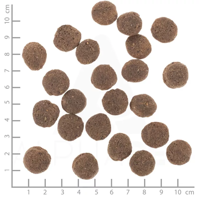 WOLFSBLUT VetLine Hypoallergenic Horse with sweet potatoes - sucha karma dla psa - 2kg