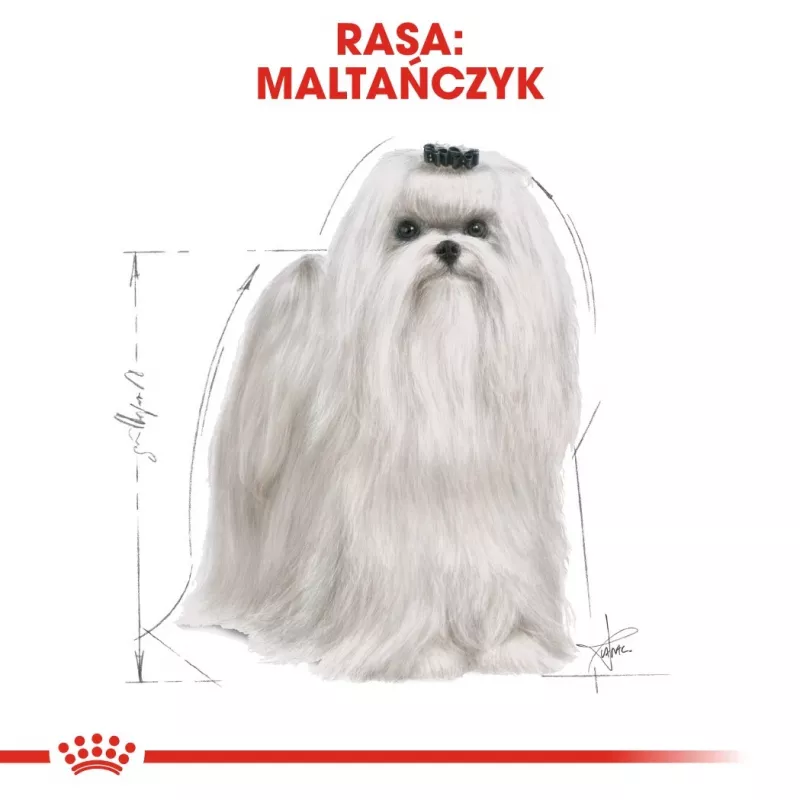 Sucha karma dla psa Royal Canin Maltese Adult 1.5 kg — kurczak, 24% białka, 18% tłuszczu