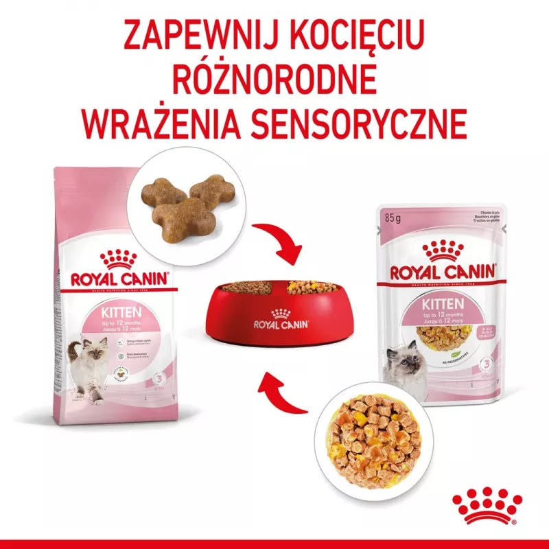 Mokra karma dla kociąt Royal Canin Kitten Jelly 85 g — smak kurczaka, saszetka 85 g, 12 szt.