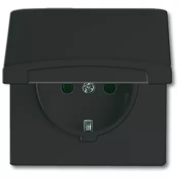 Busch-jaeger 2CKA002064A0290 Czarny