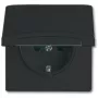 Busch-jaeger 2CKA002064A0290 Czarny