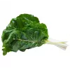 Nasiona warzyw Lucullus Leaf Beet Toraf, opakowanie 5 g
