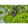 Uchwyt do węża Gardena 13218-20 czarny do wkłucia w ziemię