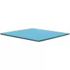 Thermal Grizzly Minus Pad Pro, 100 x 100 x 2.0 mm