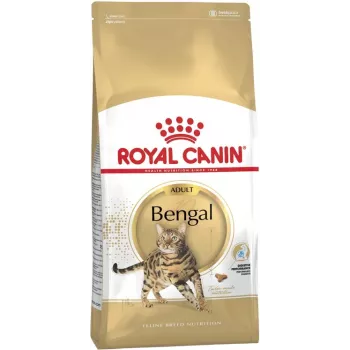 Sucha karma dla kota Royal Canin Bengal Adult 10 kg — Kurczak, 40% białka, 18% tłuszczu