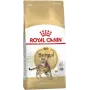 Sucha karma dla kota Royal Canin Bengal Adult 10 kg — Kurczak, 40% białka, 18% tłuszczu