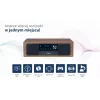Przenośny głośnik Bluetooth BLAUPUNKT MS22BT — Bezprzewodowy dźwięk, łączność Bluetooth