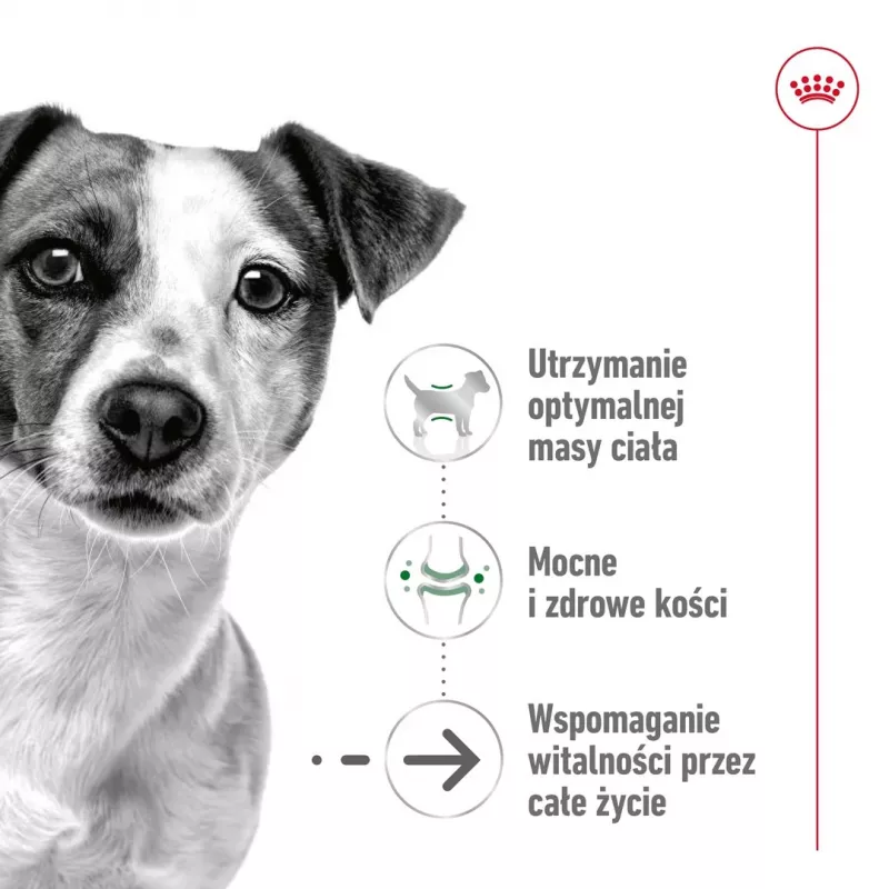 Mokra karma dla psów Royal Canin Mini Ageing 12+ Adult saszetka 85 g — małe rasy, drób, senior
