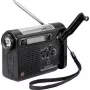Renkforce RF-CR-200 radio przenośne UKW, MW, KW ładowalne, panel słoneczny, korba ręczna, funkcja alarmu, latarka Czarny (RF-4694806)