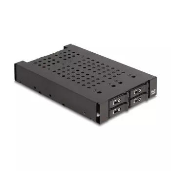Klatka HDD DeLOCK 47072 Kompatybilna z Szafą Rack Metalowa Szerokość 100 mm