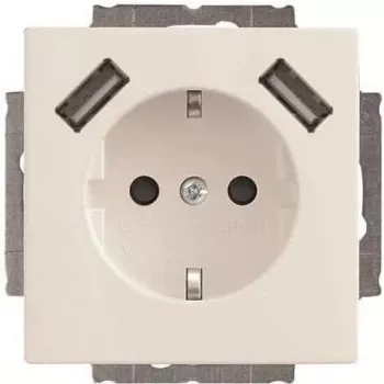 Busch-Jaeger SCHUKO-2x USB gniazdo wtyczkowe 20 EUCB2USB-84 (2CKA002011A6273)