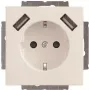 Busch-Jaeger SCHUKO-2x USB gniazdo wtyczkowe 20 EUCB2USB-84 (2CKA002011A6273)