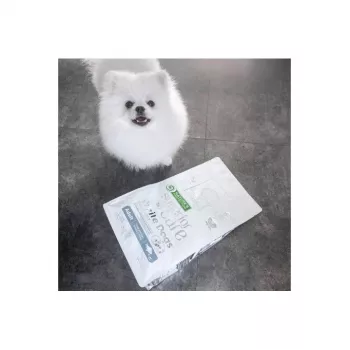 Sucha karma dla psów Nature’s Protection biały Dogs GF biały Fish Adult Small 4 kg — bezzbożowa, białko 24%, tłuszcz 13%
