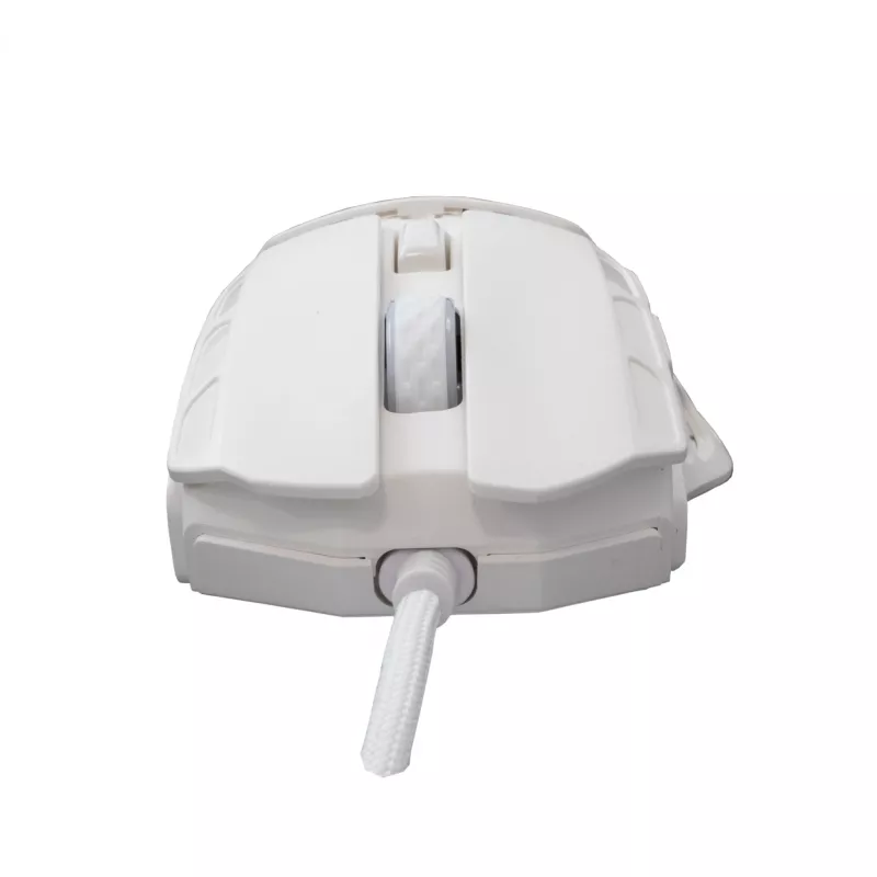 Mysz White Shark GM-5016 Ector Biała USB