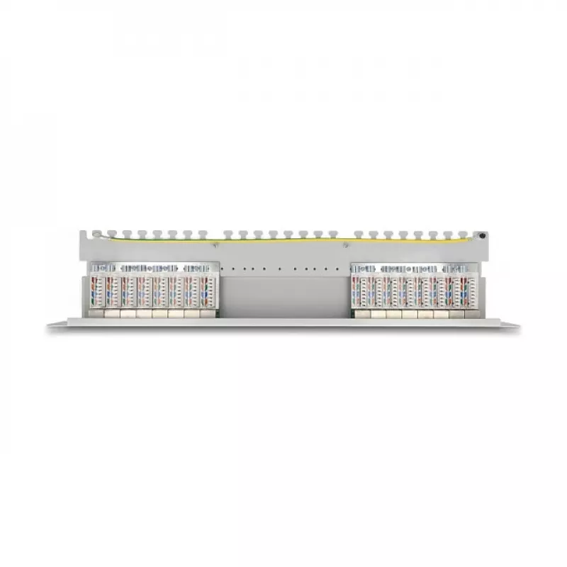 DeLOCK 19-calowy Patch Panel 16-portowy Kat.6A 1U szary Metalowy Stelaż