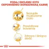 Sucha karma dla kota Royal Canin Siamese 2 kg — Dorosły, Drób, Białko 38%, Tłuszcz 16%